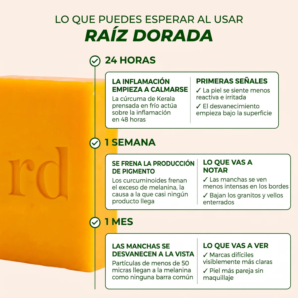 Lo que puedes esperar al usar Raíz Dorada
